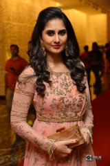 Shamili at Ammammagari Illu Pre Release Function Photos